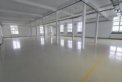 Spațiu industrial, de 200 mp, în Cisnădie