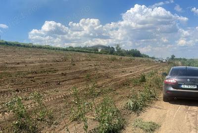 Teren de 750 mp, în Șorogari - 1