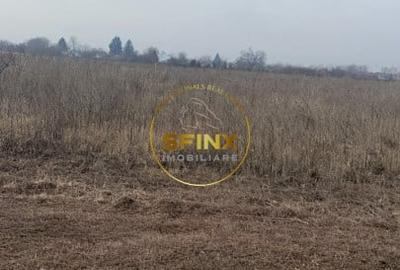 Teren agricol intravilan de 20000 mp, în Ulmi - 5