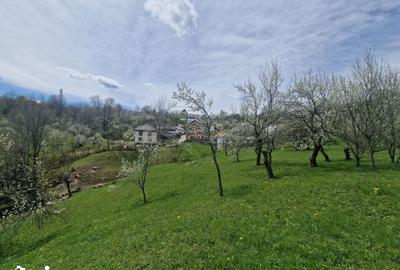 Teren de 3500 mp, în Ghioșești - 1