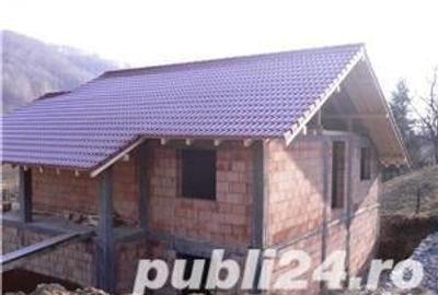 Casă cu 6 camere cu Teren 6000 Mp în Pietreni - 9