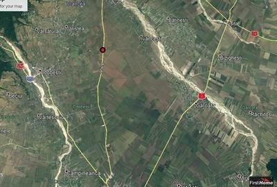 Teren agricol extravilan de 7500 mp, în Bolotești - 9
