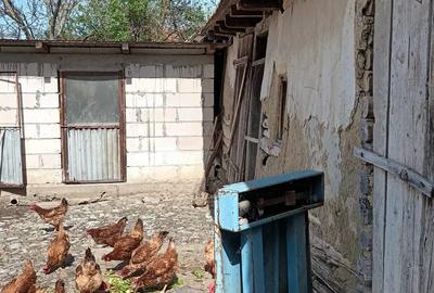 Casă cu Teren 200 Mp în Central