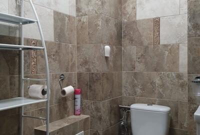 Apartament cu 2 camere decomandat în Bistrița Lac - 8