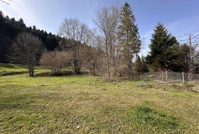 Teren de 6888 mp, în Putna - 8