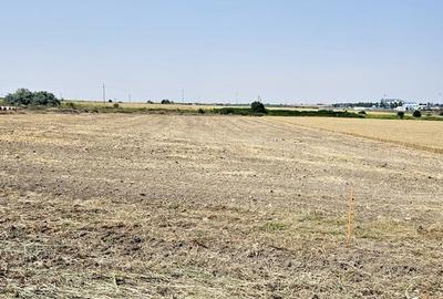Teren Construcții intravilan de 300 mp, în Sud - 3