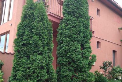 Casă cu 4 camere în Central - 4