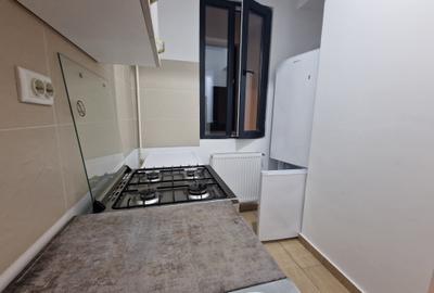Garsonieră decomandată, mobilată în Nicolina - 6