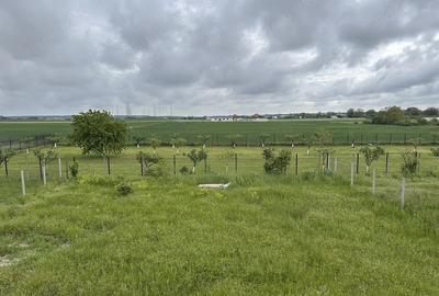 Casă cu Teren 812 Mp în Ciolpani - 1