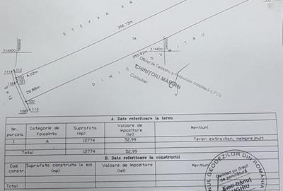 Teren agricol extravilan de 12774 mp, în Sintești - 4