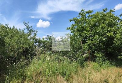 Teren agricol extravilan de 11000 mp, în Neajlovu - 13