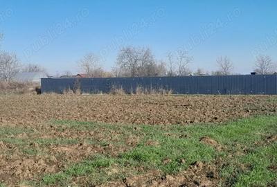 Teren de 7000 mp, în Brătășanca - 4
