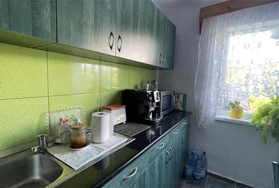 Casă individuală cu 3 camere cu Teren 2500 Mp în Ulieș - 19