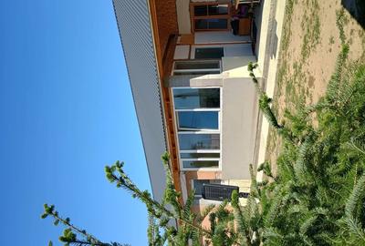Casă cu 3 camere cu Teren 500 Mp în Petin - 1