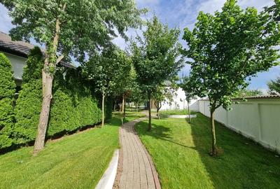 Casă individuală cu 15 camere cu Piscina în Mogoșoaia - 30
