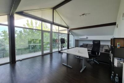 Casă individuală cu 15 camere cu Piscina în Mogoșoaia - 27