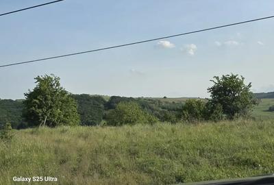 Teren de 3600 mp, în Drăgușani - 1