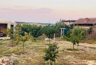 Casă cu 4 camere cu Teren 50000 Mp în Rogova