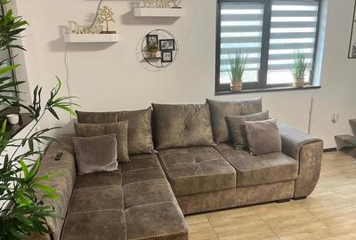 Casă cu Teren 1457 Mp în Traian - 11