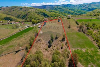 Casă individuală cu 7 camere cu Teren 30200 Mp în Prelucele - 46