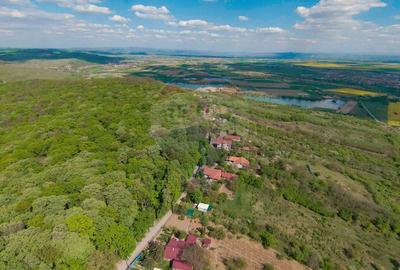 Casă individuală cu 4 camere cu Teren 1425 Mp în Podgoria - 11
