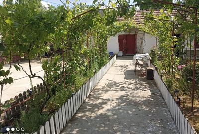 Casă individuală cu 2 camere cu Teren 1865 Mp în Hârsești - 8