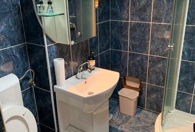 Apartament cu 3 camere decomandat în Ultracentral - 3