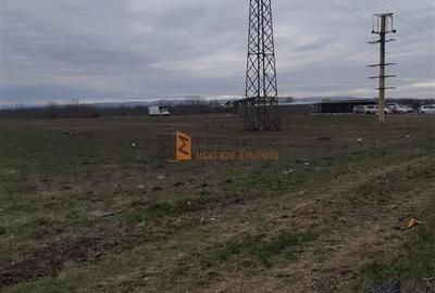 Teren Construcții intravilan de 5000 mp, în Vadu Pașii - 2