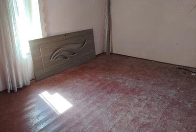 Casă cu 4 camere cu Teren 1300 Mp în Teremia Mare - 7