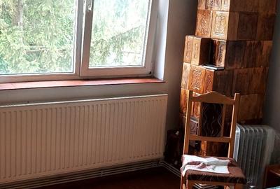 Apartament cu 2 camere decomandat în Valea Rumâneștilor - 3