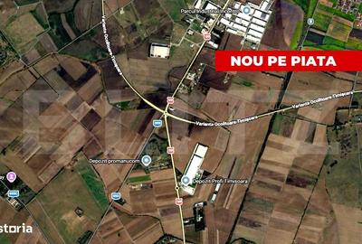 Spațiu comercial, în Șag
