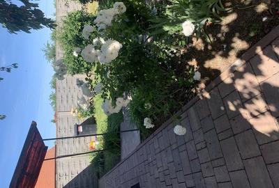 Casă cu 2 camere cu Teren 500 Mp în Central - 3