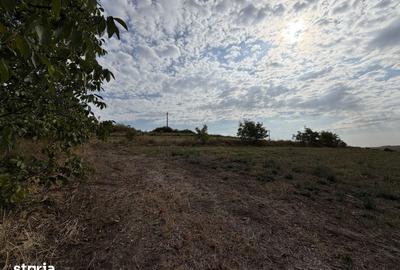 Teren de 5800 mp, în Central