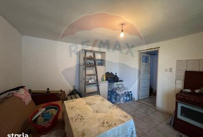 Casă cu 2 camere cu Teren 1172 Mp în Zădăreni - 6