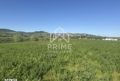 Teren de 5800 mp, în Central