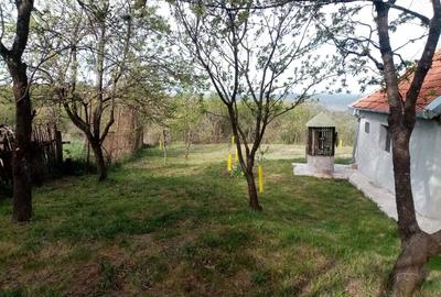Casă cu 2 camere cu Teren 8000 Mp în Barbura - 4