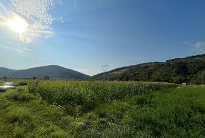 Teren de 2570 mp, în Bejan - 3
