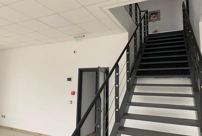 Spațiu industrial, de 20,000 mp, în Mogoșoaia - 4
