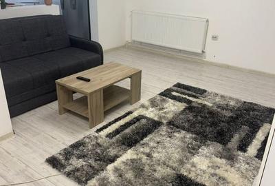 Apartament cu 2 camere decomandat în Exterior Vest - 12