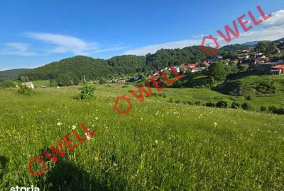 Teren de 8163 mp, în Vama Buzăului - 9