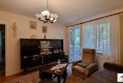 Apartament cu 2 camere în Careiului