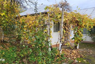 Casă cu 3 camere cu Teren 3200 Mp în Vârteșcoiu - 16