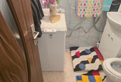 Apartament cu 3 camere decomandat în Bejan - 10