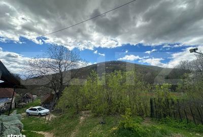 Casă cu 4 camere cu Teren 12186 Mp în Boiu - 1
