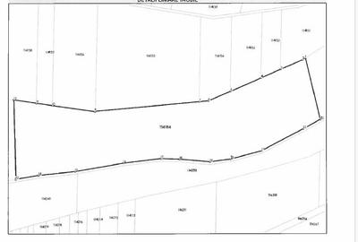 Teren agricol extravilan de 29200 mp, în Cincșor - 3