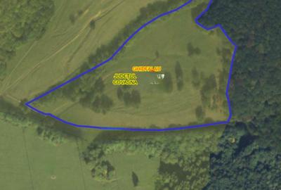 Teren extravilan de 69450 mp, în Zoltan - 2
