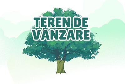 Teren de 740 mp, în Central