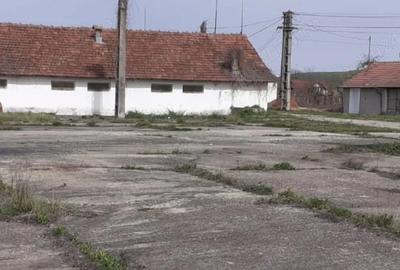 Spațiu comercial, de 4,500 mp, în Șirineasa - 5