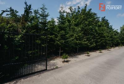 Casă individuală cu 8 camere cu Teren 4424 Mp în Jebel - 28