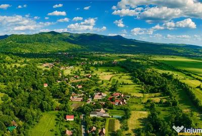 Casă cu 6 camere cu Teren 3269 Mp în Bistra Mureșului